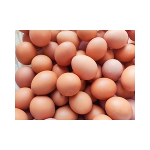 Premezcla de concentrado de vitamina para aves de corral para pollo Pre-Starter Starter Grower Finisher Grado de alimentación animal - Product Image 3