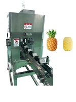 Industriële roestvrijstalen 304 ananas snijmachine voor commercieel gebruik, fruitverwerkingsmachine