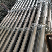 Système d'échafaudage modulaire Ringlock galvanisé à chaud, haute résistance, capacité de charge de 800 kg, base réglable