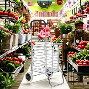 รถเข็นช็อปปิ้งแบบพกพาขนาดเล็กรถเข็นมือสำหรับบ้านในซูเปอร์มาร์เก็ต - Product Image 3