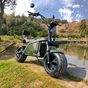 Scooter Todoterreno para Adultos 2026 con Batería Extraíble - Product Image 2