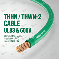 600V 6/4/3/2/1 AWG noir n ° 10 fil de cuivre toronné solide THHN/VW-1/FT1 avec isolation en PVC TW75/TWU75/TWN75/VW-1/FT1