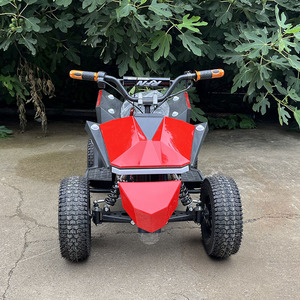 รถเอทีวีบักกี้แบบออฟโรดสำหรับทุกพื้นที่  รับผลิตตามแบบ OEM ODM สำหรับสวนสนุก กิจกรรมกลางแจ้ง ผจญภัย  พร้อมโลโก้สั่งทำพิเศษ - Product Image 4