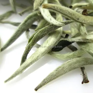 Top quality organic aged white tea silver tip pekoe silver needle white tea