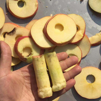 Machine semi-automatique pour dénoyauter les abricots, les avocats, les prunes, les pêches, les pruneaux, les pommes