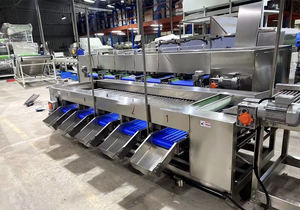 Ligne de tri et de calibrage automatique haute performance pour kiwis, pommes de terre, courgettes, tomates, concombres et oignons, en acier inoxydable 304 - Product Image 2