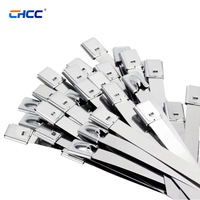 Attaches de câble en acier inoxydable CHCC 304, 7,9*300 mm, à verrouillage par bille, autobloquantes, pour montage de câbles solaires photovoltaïques, vente en gros OEM