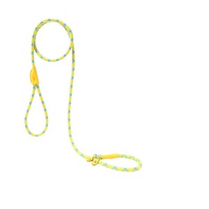Correa para perros, cadena tipo P, cuerda tipo P, correa para pasear perros, entrenamiento para perros pequeños, medianos y grandes, a prueba de explosiones, con sistema de anudado, dorada - Product Image 2