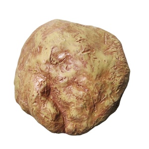 Bán buôn hang động nhựa và bò sát ẩn cảnh quan cho thằn lằn râu rồng Lưỡng Cư & Bò sát - Product Image 1