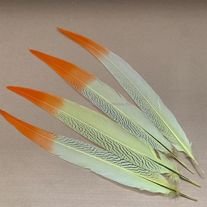 Hot bán hai giai điệu Sliver chim trĩ lông thanh lịch màu sắc và thiết kế lễ hội trang phục - Product Image 3