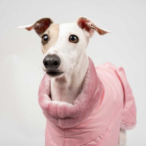 Dog Clothes High Quality pink Water Resistant Thicken <strong>Fleece</strong> Lining Winter Italian <strong>Greyhound</strong> Coat - Product Image 4