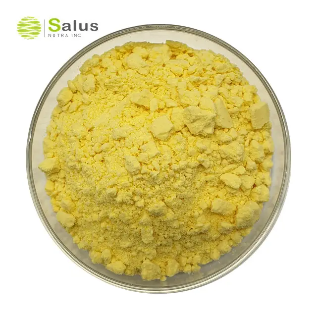 Natural Gingerol 1% Water Soluble Ginger Extract