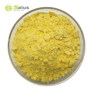 Natural Gingerol 1% Water Soluble Ginger Extract