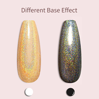 Orchid Fox - Juego de Esmaltes de Uñas en Gel Holográfico Láser de 12 Colores, Diseño OEM ODM, en Botellas, para Salones de Uñas y Arte de Uñas DIY