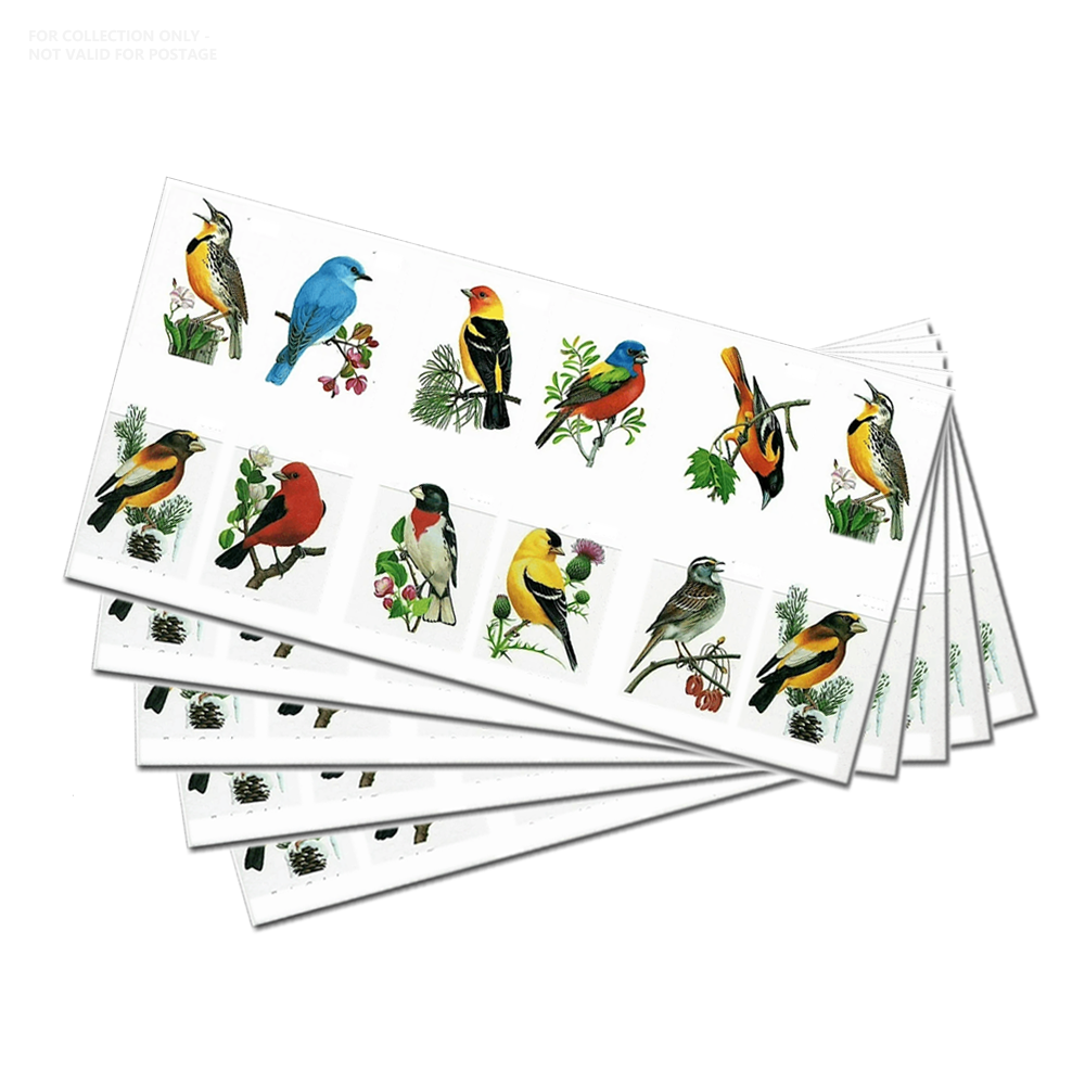 White Y84 2014 Songbirds