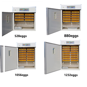 Máquina Incubadora Automática de Ovos Tipo Novo Popular 1000 para Incubação de Ovos 2025 - Product Image 5