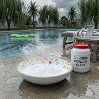E20260812 Poudre chimique fiable à 90 % de pureté pour un traitement efficace de l'eau de piscine