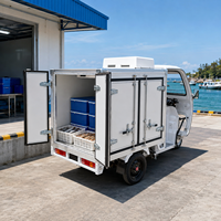 Camion de livraison électrique à trois roues personnalisé avec chambre froide mobile et chambre froide de tricycle pour la logis