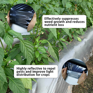 Bạc và đen hai mặt nhựa <span class=keywords><strong>mulch</strong></span> cho cà chua và nông nghiệp sử dụng <span class=keywords><strong>mulch</strong></span> phim - Product Image 2