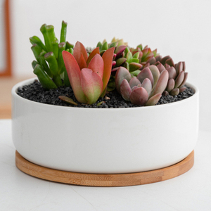 Vente flash Pots à succulentes rectangulaires et ronds en céramique blanche avec <span class=keywords><strong>soucoupe</strong></span> en bambou - Product Image 2