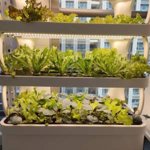 Armoire <span class=keywords><strong>de</strong></span> culture hydroponique multi-niveaux entièrement automatique pour l'intérieur avec machine <span class=keywords><strong>de</strong></span> germination et <span class=keywords><strong>de</strong></span> poussée des <span class=keywords><strong>graines</strong></span>, pompe - Product Image 3