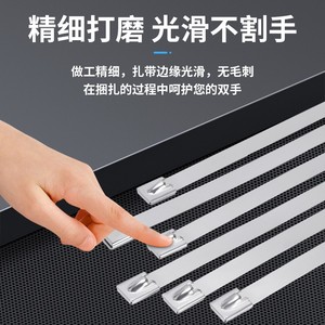 Attaches-câbles en nylon (100 pièces, 11,8 pouces) robustes, autobloquantes, avec billes en acier - Product Image 6