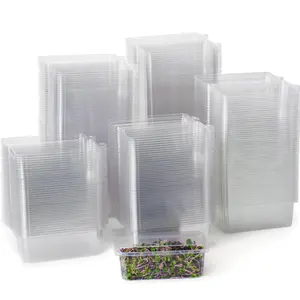 2-3 oz wadah cangkang kerang herbal Microgreen gantung cangkang kerang berengsel bening dengan gantungan kotak plastik kemasan untuk Herbal
