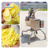 Industriële aardappelsnijmachine voor de productie van frieten met een krachtige motor.