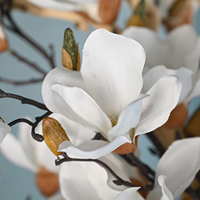 Pohon Bonsai Magnolia Buatan 2m, Pohon Magnolia Putih dengan Batang Kering, Tanaman Pot untuk Dekorasi Interior Mewah Hotel dan Rumah