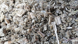 Precio barato natural Flores secas de <span class=keywords><strong>Verbascum</strong></span> Thapsus Flor de <span class=keywords><strong>Verbascum</strong></span> Thapsus rota para la venta - Product Image 2