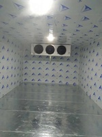 Chambre froide de grande capacité pour morgue, congélateur walk-in avec compresseur Copeland et conteneur à vendre