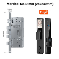 TYSH Tuya App Smart Lock avec alliage d'aluminium Appel vidéo en temps réel Reconnaissance faciale 3D Accès par empreinte digitale Wi-Fi