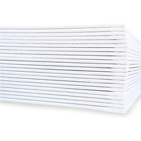 Pas Cher En Gros Artiste 100 Coton Blanc 8*10 Pouces Art Peinture Panneau De Toile Vierge Panneau De Toile