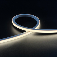 Bande lumineuse LED néon flexible 24V IP68 étanche en silicone, haute luminosité, certifiée CE RoHS pour piscine sous-marine