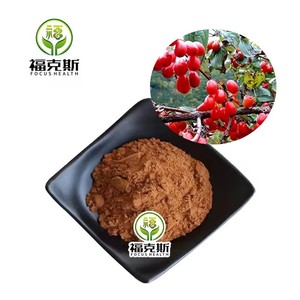 食品グレード高品質Cornus Officinalisエキス粉末5% Loganin Cornus Officinalisエキス - Product Image 4