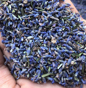 <strong>BUY</strong> Lavender Flower Tea Buds From Lavandula Angustifolia for Raw Tea - Product Image 4