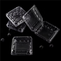 Boîte aux myrtilles Conteneur de fruits en plastique transparent Boîte de légumes Boîtes à palettes en plastique pour fruits Conteneur d'emballage de salade de fruits pour animaux de compagnie