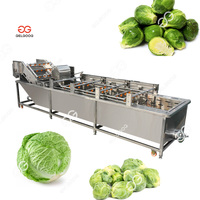 380V 3.7 Kw Fruit Groente Vortex Wasmachine Echografie Groente Fruit Wasmachine Fruit En Thee Bladeren Wasmachine