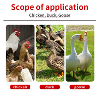Enzymes de qualité alimentaire pour volailles : favorisent une croissance saine, contre la toux respiratoire du poulet, des canards et des pigeons, les râles et les vocalisations anormales, et les rhumes.