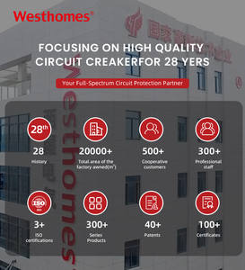 Disjoncteur différentiel (RCCB) AC 4P WESTHOMES <span class=keywords><strong>DX3</strong></span>-<span class=keywords><strong>ID</strong></span> <span class=keywords><strong>63A</strong></span> en cuivre, 6kA de pouvoir de coupure - Product Image 6