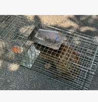 Piège à cage pliable en acier galvanisé, solide, écologique, à une porte, pour attraper chats, lapins, écureuils, lutte antiparasitaire extérieure