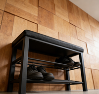 Banc à chaussures moderne en fer à double couche avec rangement pour le salon, meubles de maison, étagères à chaussures pour la maison