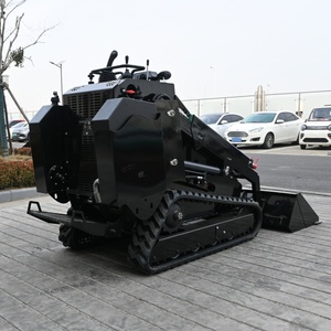 Hot bán giá rẻ giá Skid chỉ đạo theo dõi loader Mini Skid chỉ đạo gốc cây máy xay để bán - Product Image 6