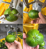 Commerciële Of Thuis Gebruik Hand Bediening Goedkope Fruit Skin Cutter Mandarijn Oranje Peeling Dunschiller Machine