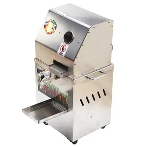Machine à jus de canne à sucre électrique de grande capacité commerciale Machines de traitement de canne à sucre Presse-agrumes de canne à sucre à piles