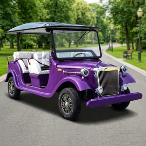 Autobús Turístico Eléctrico de Estilo Clásico Personalizado en Color Morado, el Más Vendido - Product Image 1