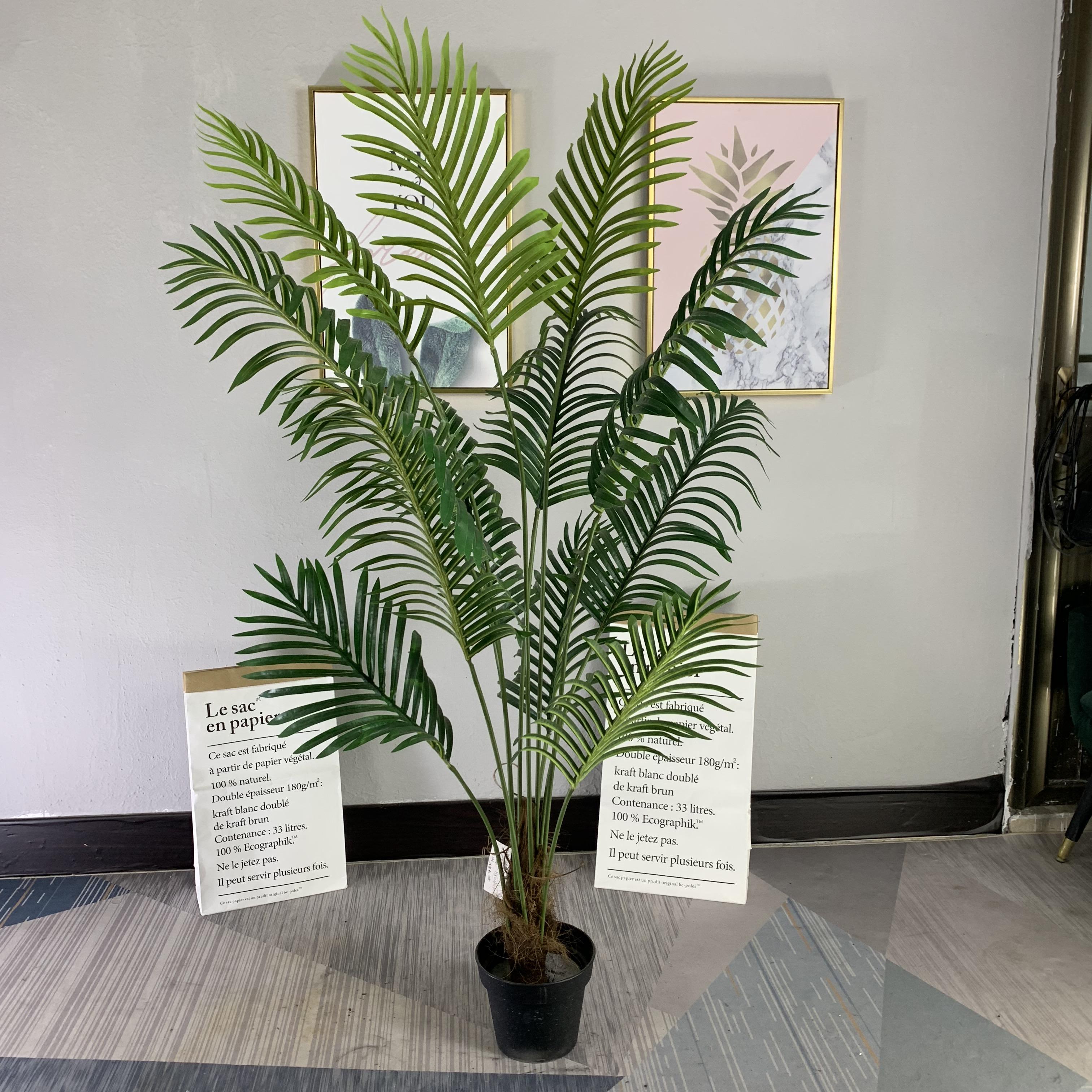 Palmier arèque 160cm