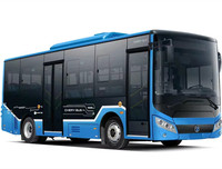 Haute qualité Chery électrique en option couleur 19-33 sièges longue conduite kilométrage conduite à droite City Bus