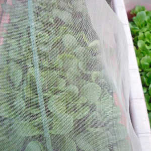 Mallas antitrrips 50x25 حصان (hilos Por Pulgada) - Product Image 1