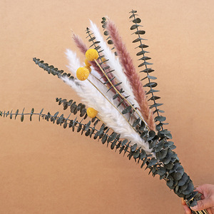 Hierba de Pampas Seca Natural, Ramo Mixto con Eucalipto y Craspedia Preservados, para Decoración Boho del Hogar, Arreglos Florales DIY - Product Image 2